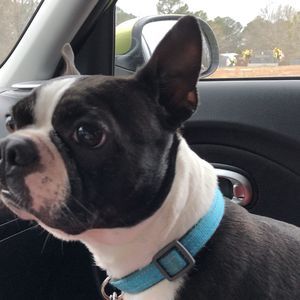 Meet your Posher, Alan